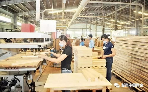 前8月越南林产品出口贸易顺差43亿美元，商品批发贸易市场迎来新机遇
